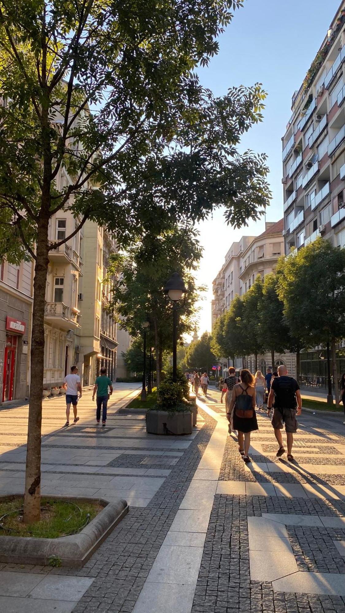 Dom Boutique Apartments - Old Town بلغراد المظهر الخارجي الصورة