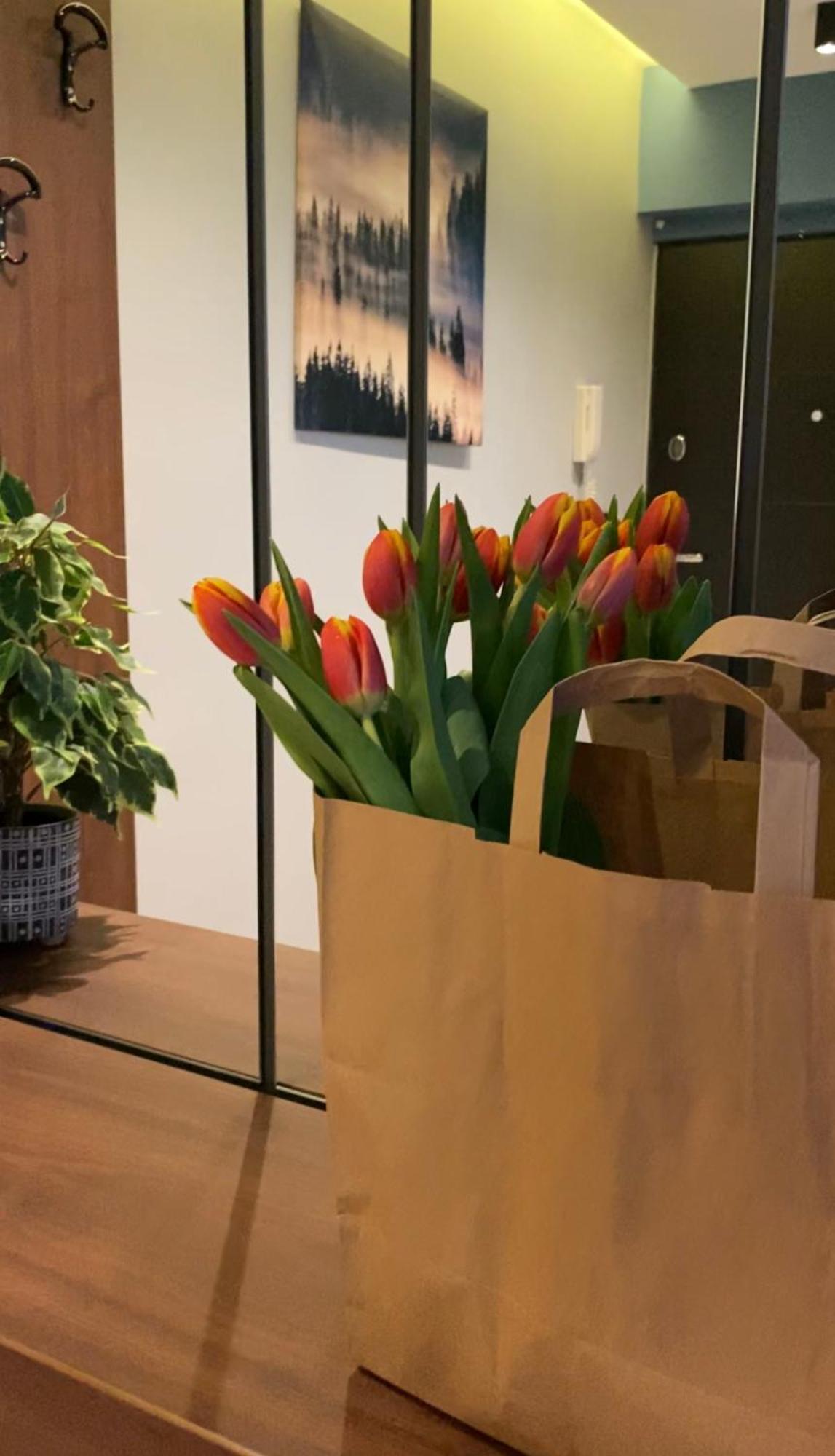 Dom Boutique Apartments - Old Town بلغراد المظهر الخارجي الصورة